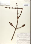 000020946-thumbnail.jpg