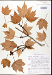 000020948-thumbnail.jpg