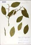 000020973-thumbnail.jpg