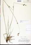 000020975-thumbnail.jpg