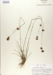 000020979-thumbnail.jpg