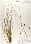 000020980-thumbnail.jpg