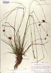 000020982-thumbnail.jpg
