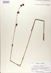 000020983-thumbnail.jpg