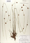 000020985-thumbnail.jpg