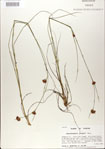 000020987-thumbnail.jpg