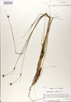 000020990-thumbnail.jpg