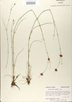 000020991-thumbnail.jpg