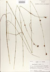 000020992-thumbnail.jpg