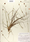 000020993-thumbnail.jpg