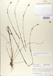 000020994-thumbnail.jpg