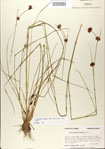 000020995-thumbnail.jpg