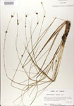 000020996-thumbnail.jpg