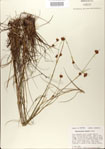 000020997-thumbnail.jpg