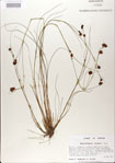 000021000-thumbnail.jpg