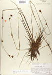 000021001-thumbnail.jpg