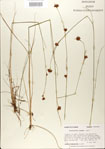 000021002-thumbnail.jpg