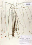 000021003-thumbnail.jpg