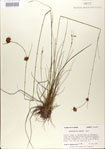 000021004-thumbnail.jpg