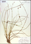 000021005-thumbnail.jpg