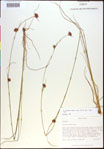 000021007-thumbnail.jpg