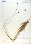 000021008-thumbnail.jpg