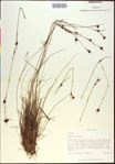 000021009-thumbnail.jpg