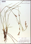 000021010-thumbnail.jpg