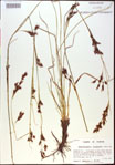 000021011-thumbnail.jpg