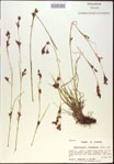 000021012-thumbnail.jpg