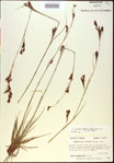 000021013-thumbnail.jpg