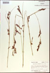000021014-thumbnail.jpg