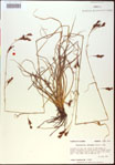 000021016-thumbnail.jpg