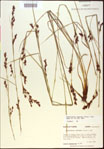 000021017-thumbnail.jpg