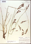 000021018-thumbnail.jpg