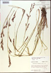 000021019-thumbnail.jpg