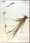 000021021-thumbnail.jpg