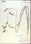 000021022-thumbnail.jpg
