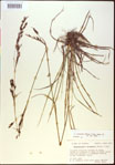 000021023-thumbnail.jpg