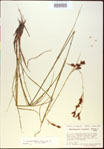 000021024-thumbnail.jpg