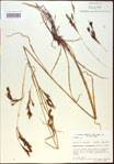 000021025-thumbnail.jpg