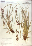 000021027-thumbnail.jpg
