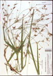 000021031-thumbnail.jpg
