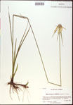 000021032-thumbnail.jpg