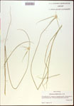 000021033-thumbnail.jpg