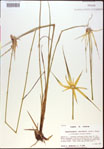 000021034-thumbnail.jpg