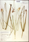 000021035-thumbnail.jpg