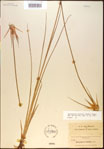 000021036-thumbnail.jpg
