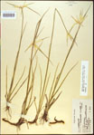 000021037-thumbnail.jpg