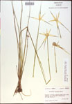 000021038-thumbnail.jpg